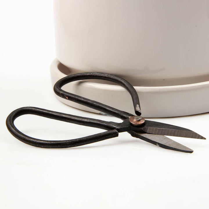 Edward Plant Clippers | Artisans.