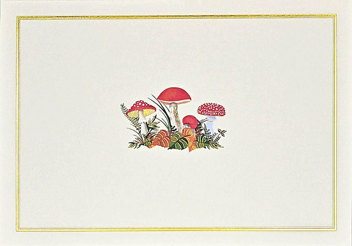 Pauper Press Boxed Notecards | Artisans.