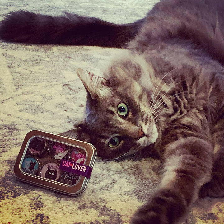 Cat Lover Magnets | Artisans.