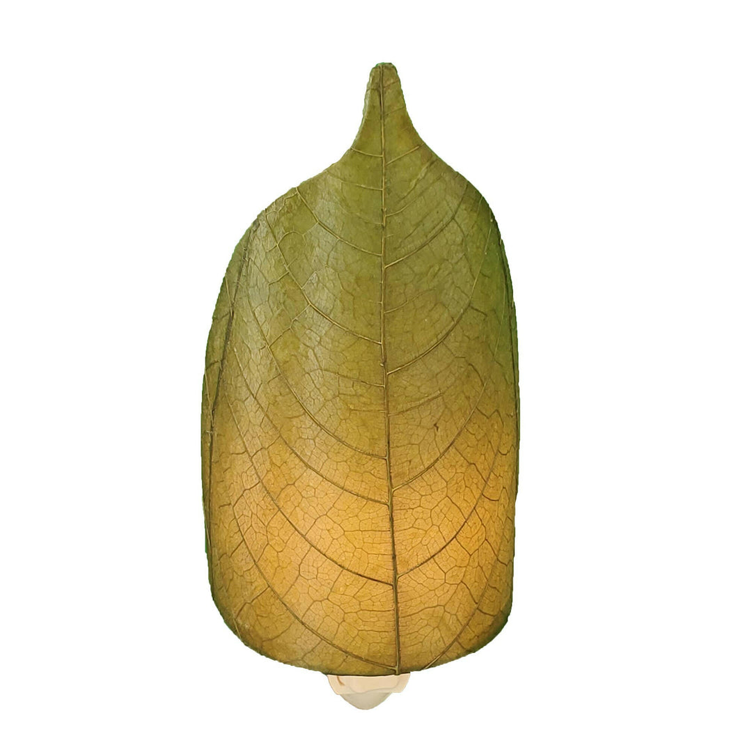 Leaf Night Light Collection — Made with Cocoa Leaf Shade | Artisans.