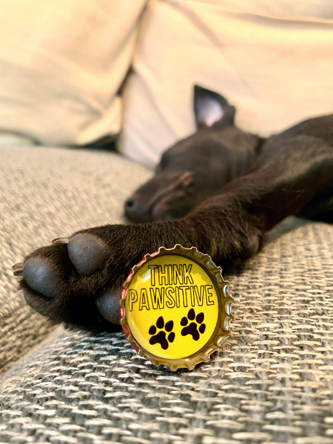 Dog Lover Magnets | Artisans.