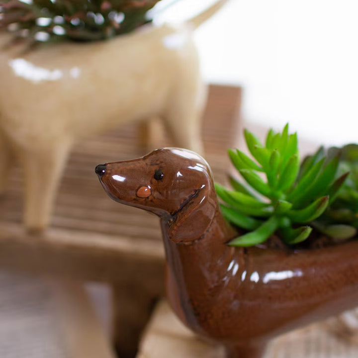 Ceramic Dog Planters