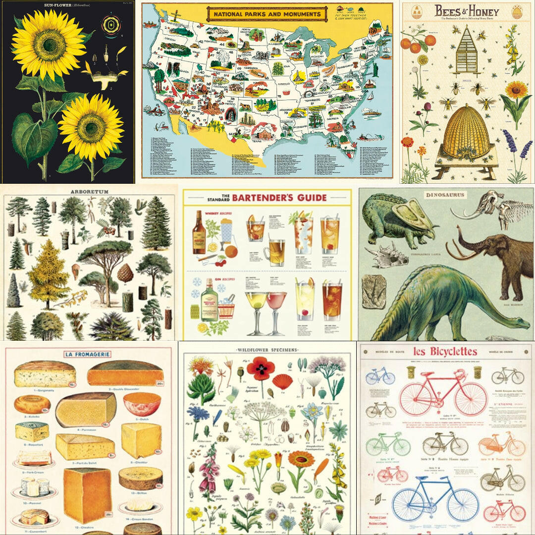 Cavallini Vintage Art Poster | Artisans.