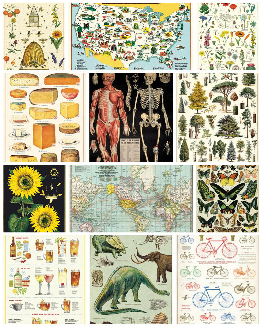 Cavallini Vintage Art Poster | Artisans.