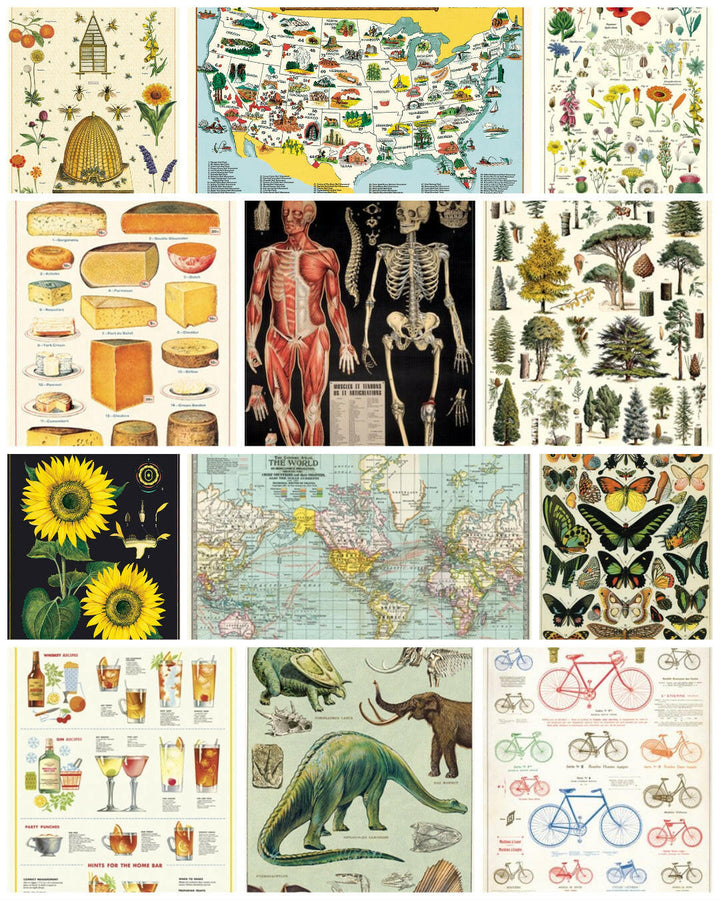 Cavallini Vintage Art Poster | Artisans.