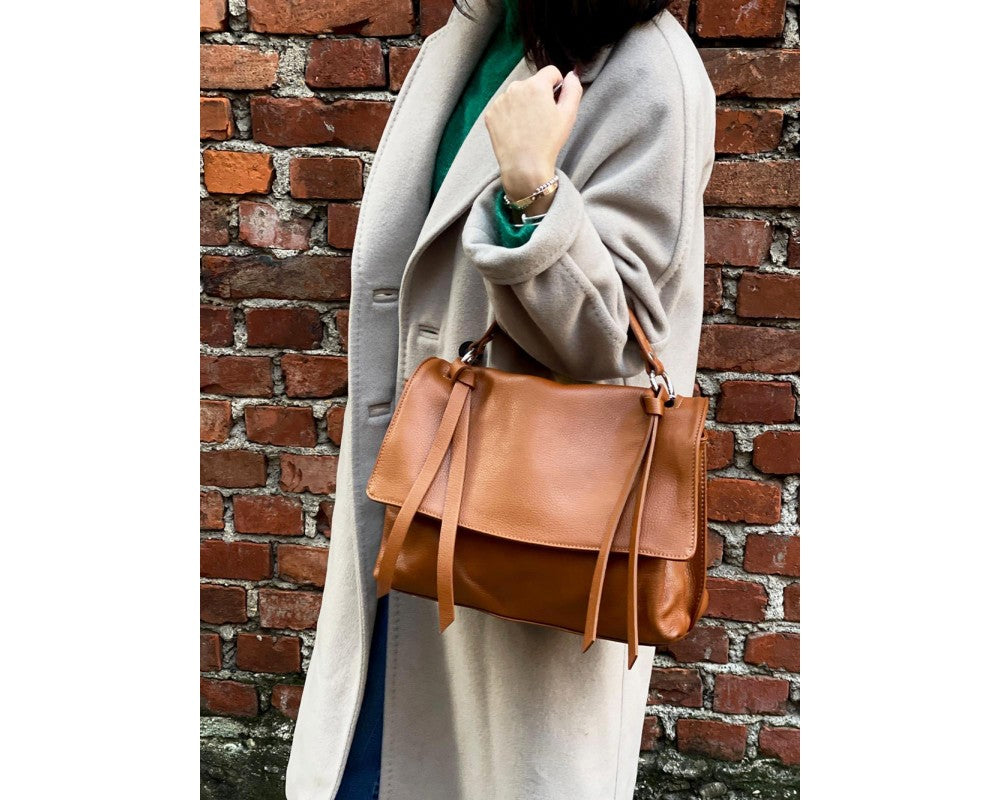 Saul carry case with model
