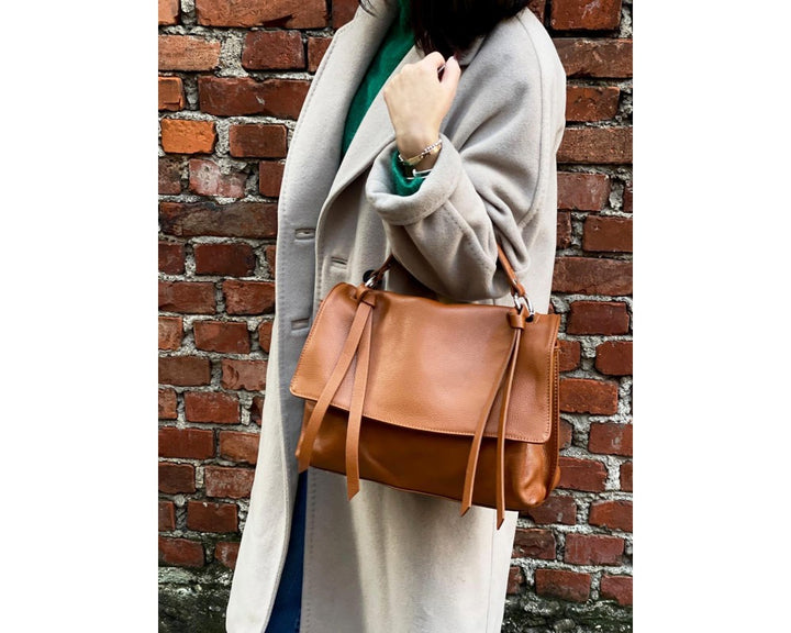 Saul carry case with model