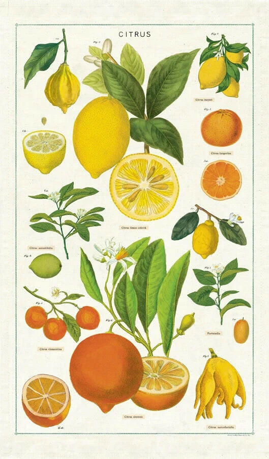Cavallini Tea Towel | Artisans.