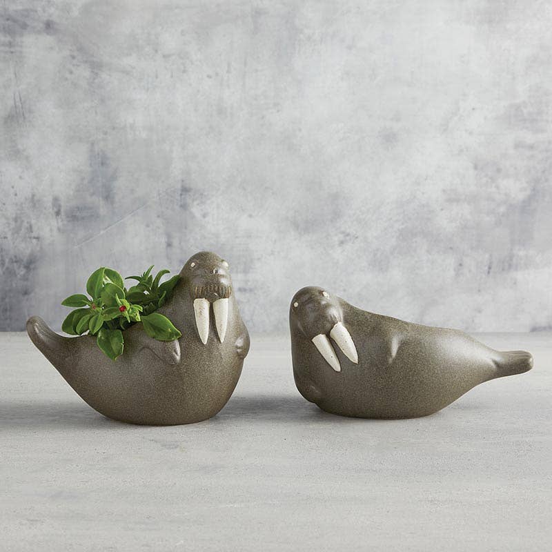 Walrus Small Planter | Artisans.