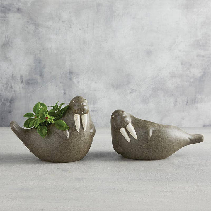 Walrus Small Planter | Artisans.