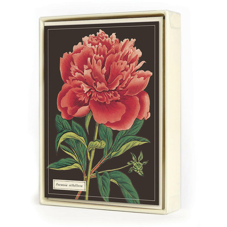 Cavallini Boxed Notecards | Artisans.