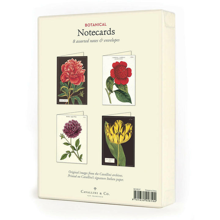 Cavallini Boxed Notecards | Artisans.