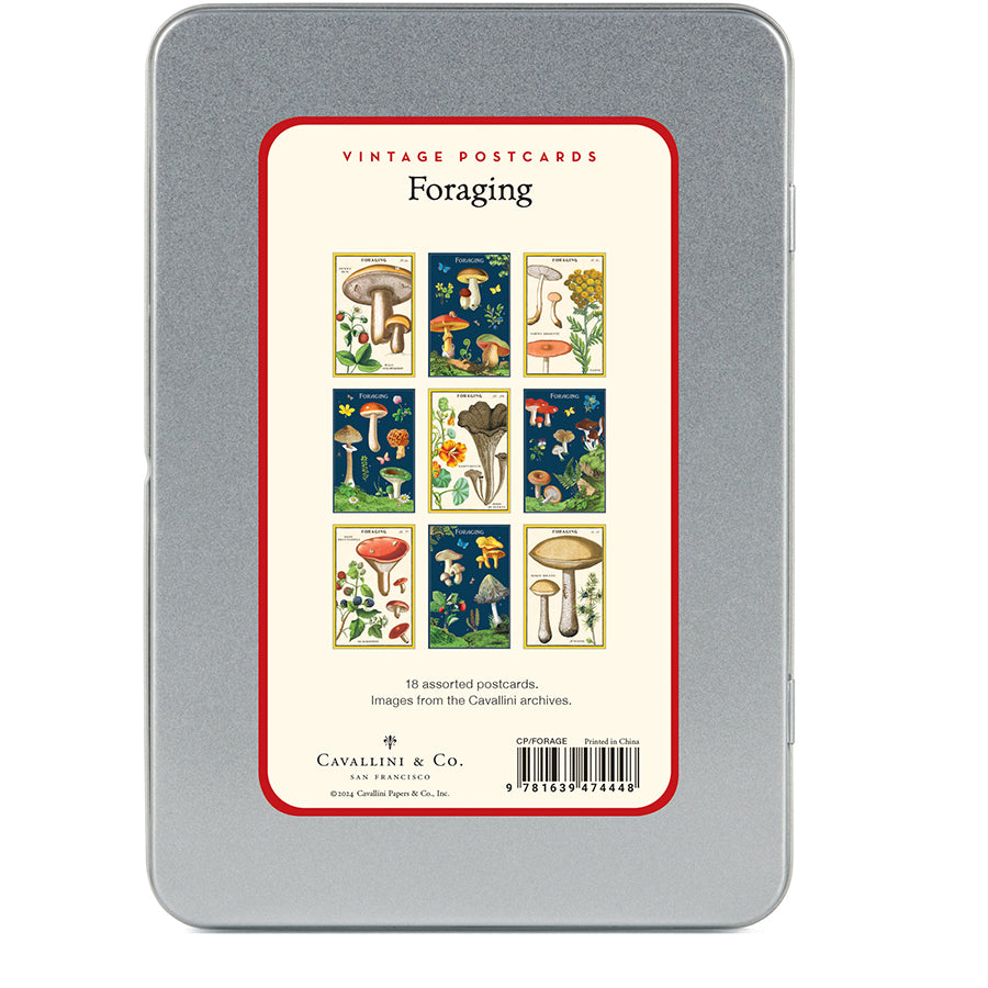 Cavallini Vintage Postcards | Artisans.