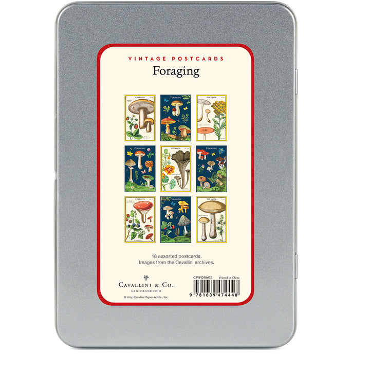 Cavallini Vintage Postcards | Artisans.
