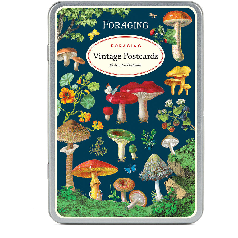 Cavallini Vintage Postcards | Artisans.
