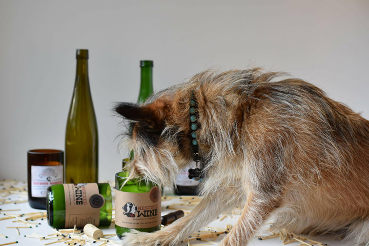 Rescued Wine Signature Soy Candle Collection | Artisans.
