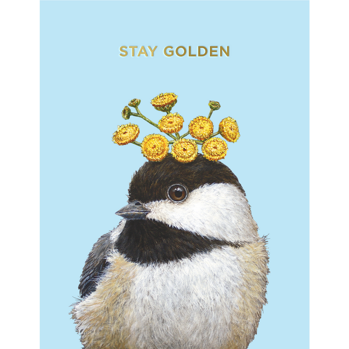 Hester &amp; Cook Individual Greeting Cards