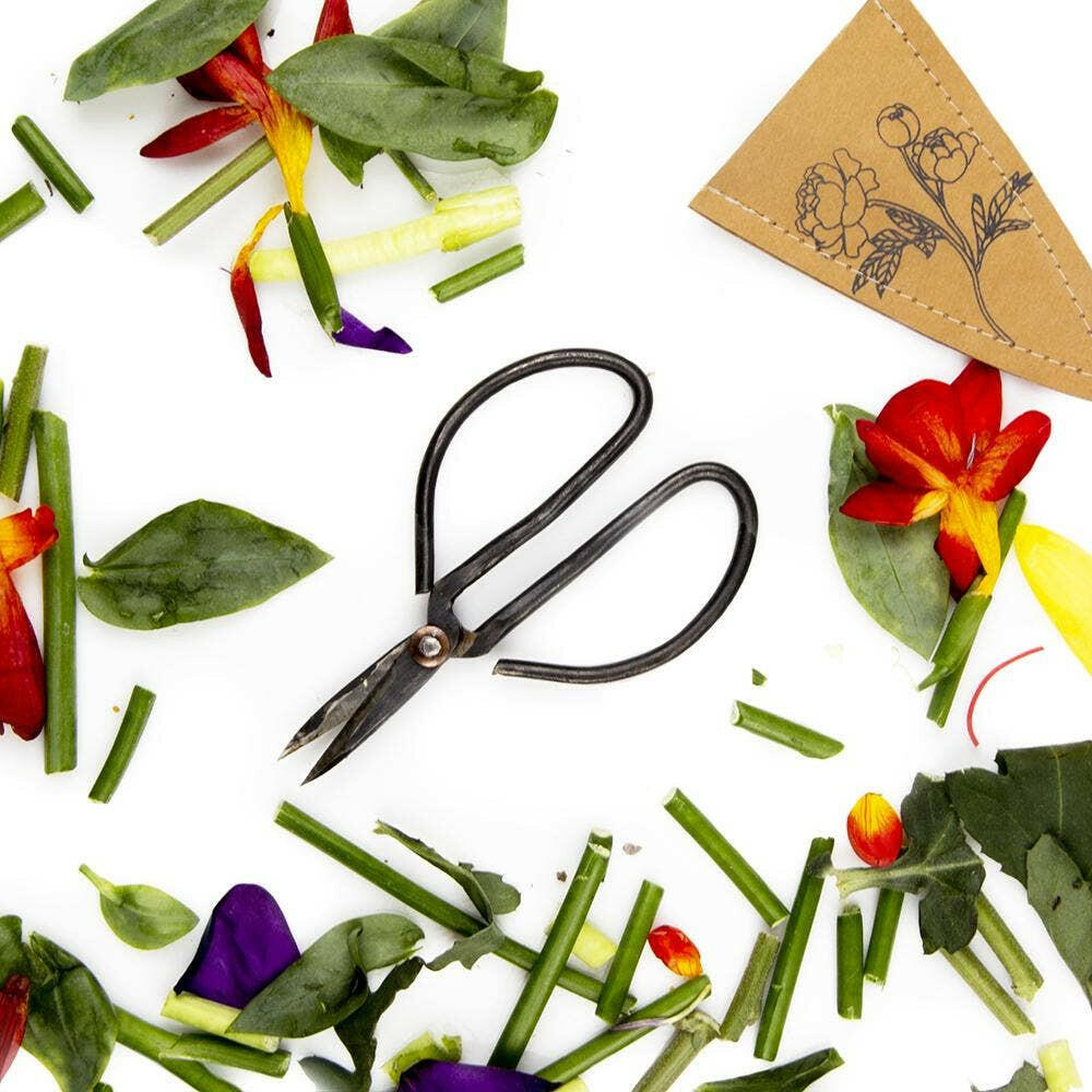 Edward Plant Clippers | Artisans.