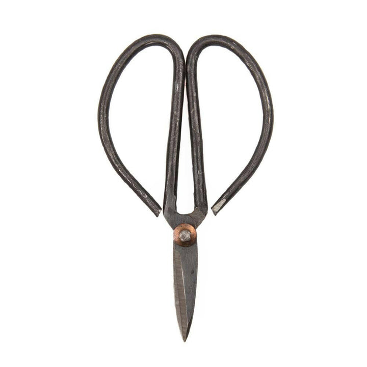 Edward Plant Clippers | Artisans.