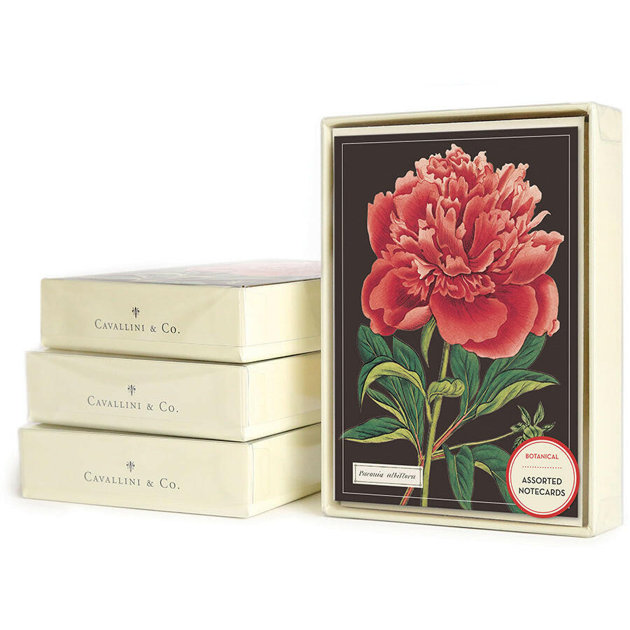 Cavallini Boxed Notecards | Artisans.