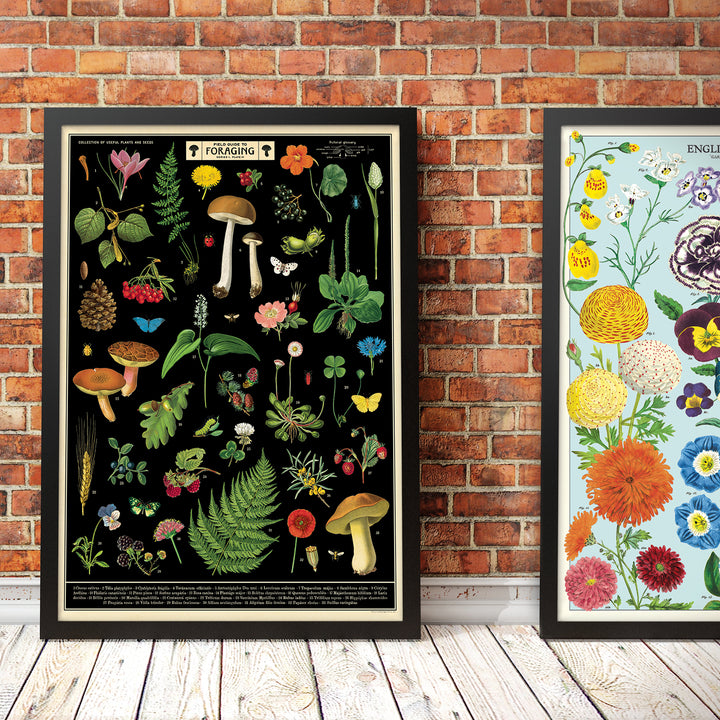 Cavallini Vintage Poster &amp; Frame Kit Collection