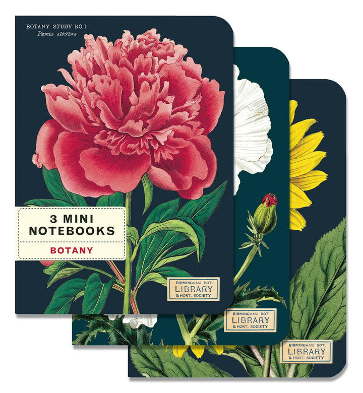 Cavallini Mini Notebooks 3-pack | Artisans.
