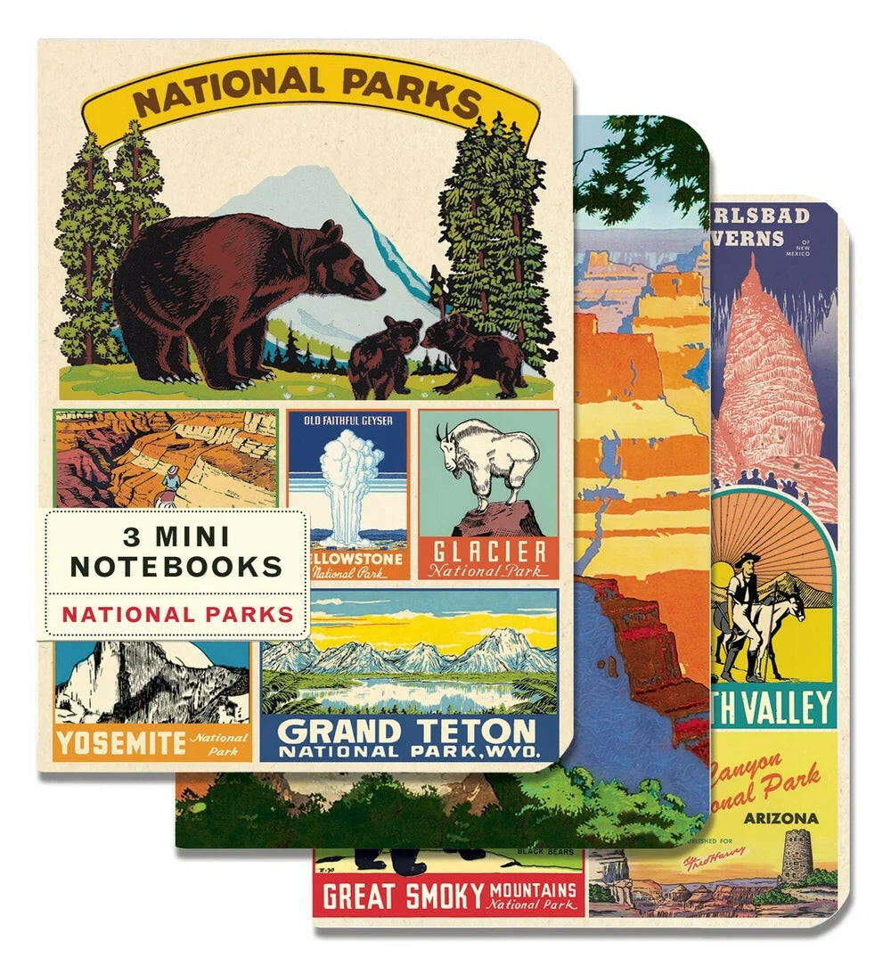 Cavallini Mini Notebooks 3-pack | Artisans.