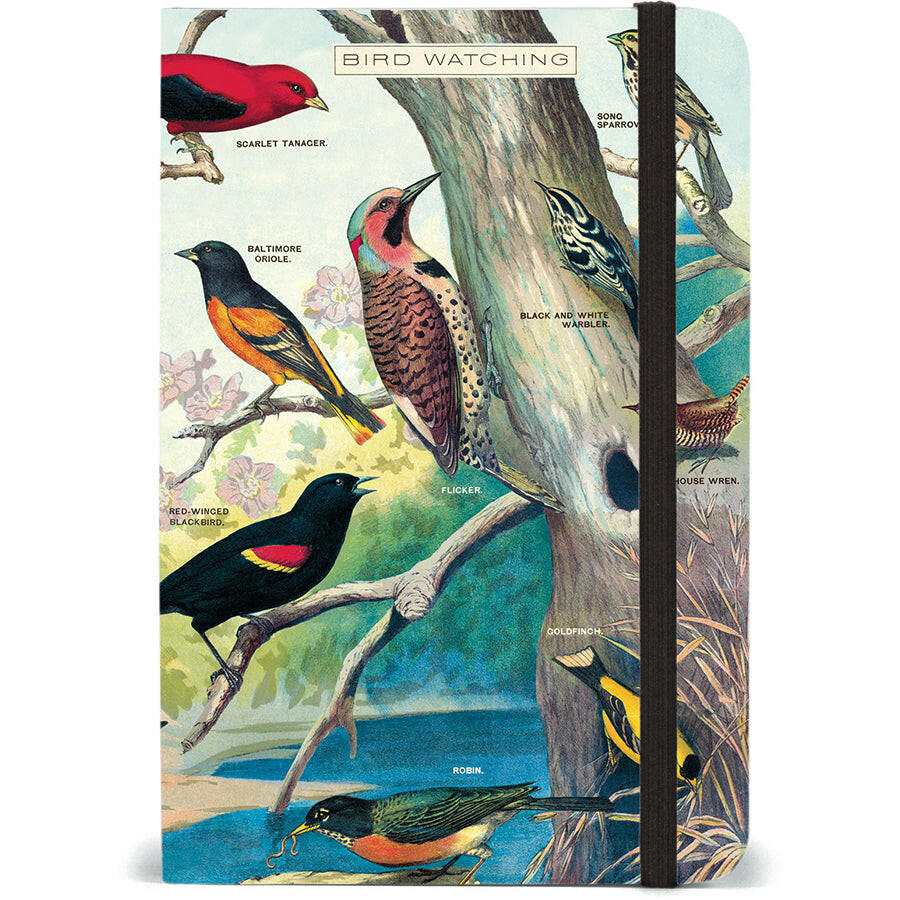 Cavallini Small Notebook with Elastic Closure | Artisans.