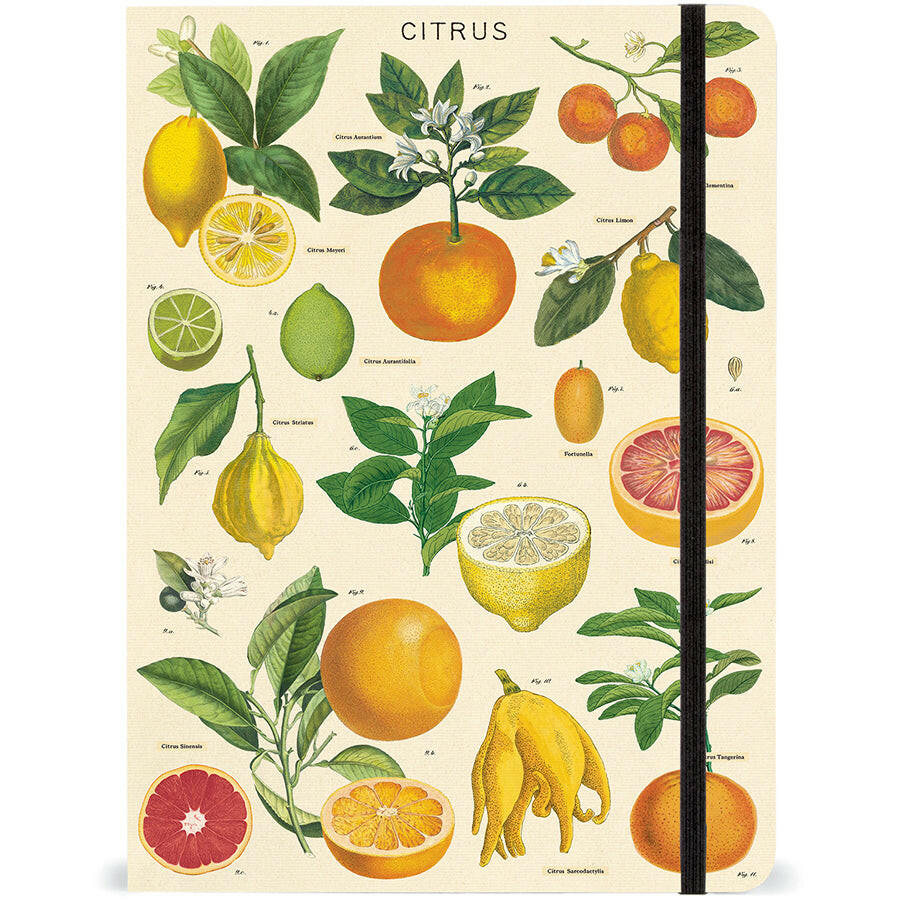 Cavallini Large Notebook with Elastic Closure | Artisans.