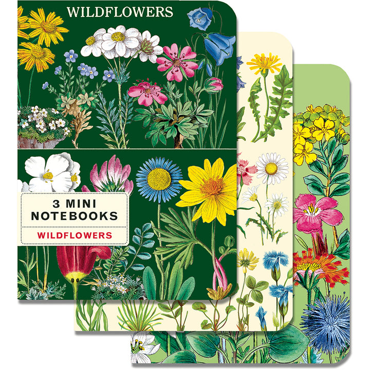 Cavallini Mini Notebooks 3-pack | Artisans.