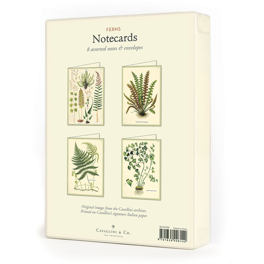 Cavallini Boxed Notecards | Artisans.