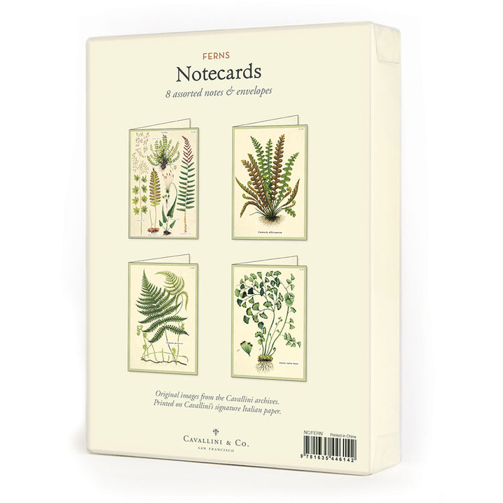 Cavallini Boxed Notecards | Artisans.