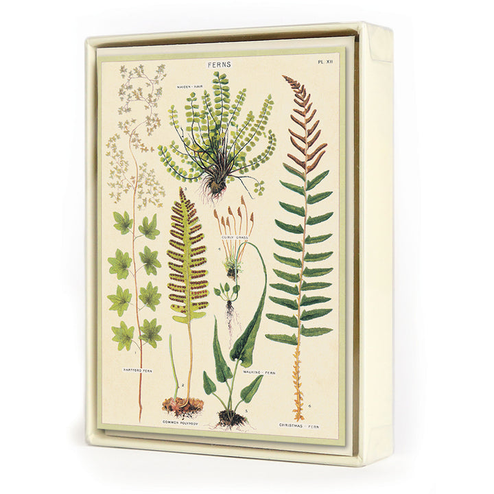 Cavallini Boxed Notecards | Artisans.