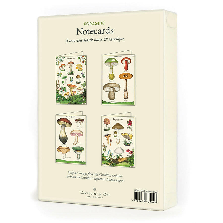 Cavallini Boxed Notecards | Artisans.