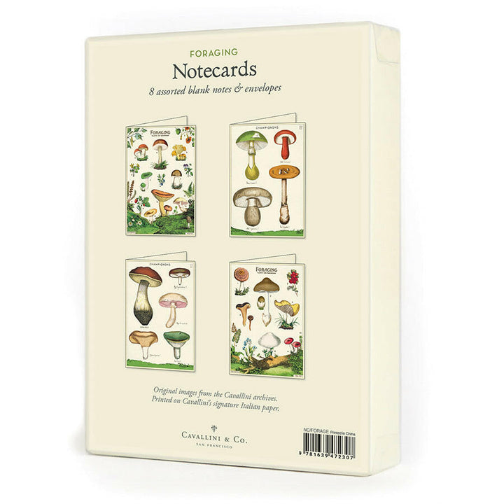 Cavallini Boxed Notecards | Artisans.