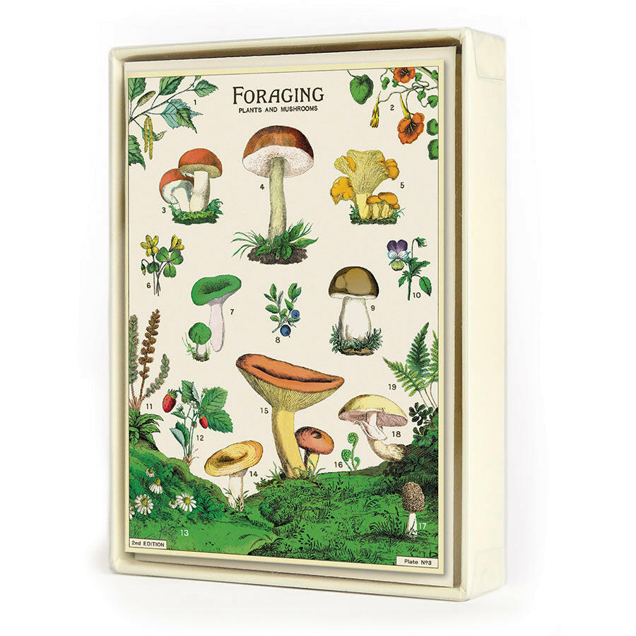 Cavallini Boxed Notecards | Artisans.