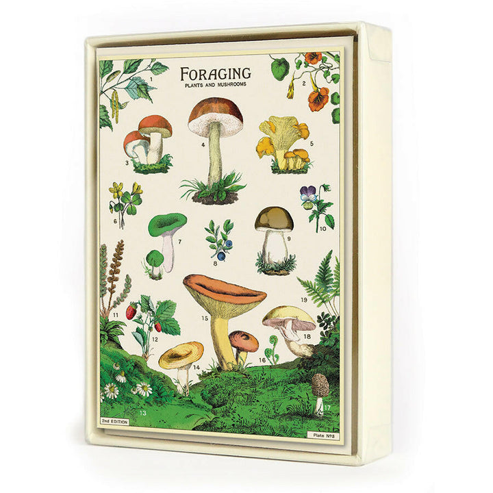 Cavallini Boxed Notecards | Artisans.