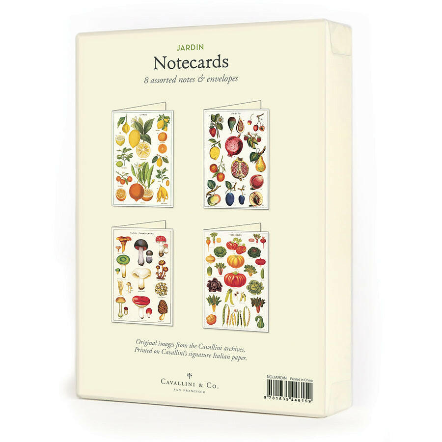 Cavallini Boxed Notecards | Artisans.