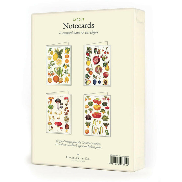 Cavallini Boxed Notecards | Artisans.