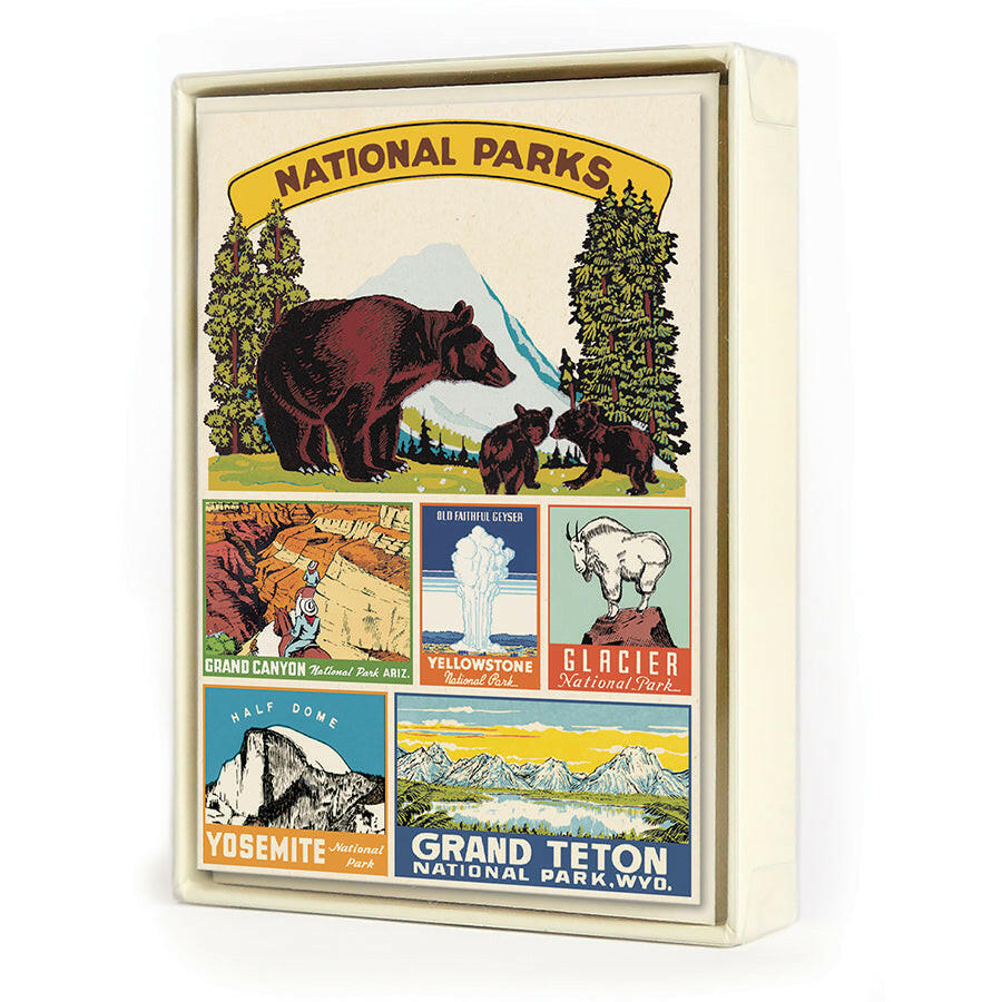 Cavallini Boxed Notecards | Artisans.