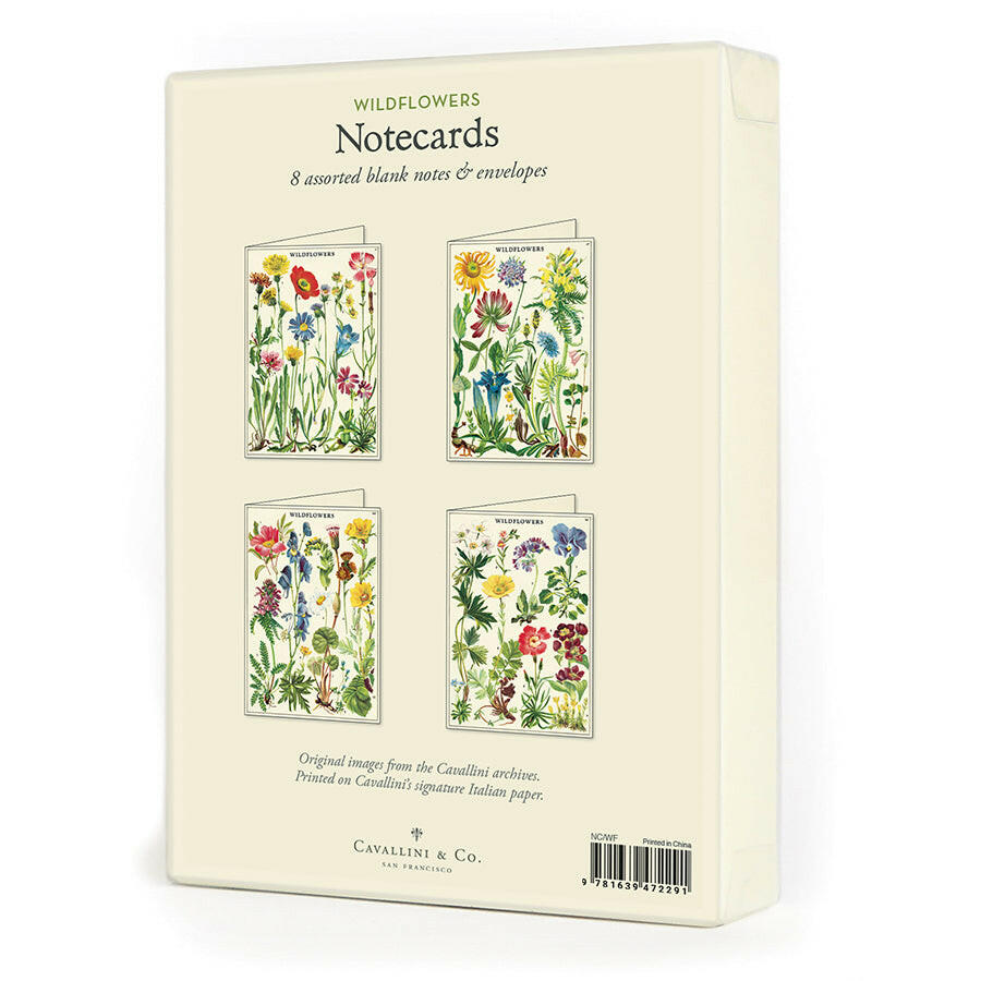 Cavallini Boxed Notecards | Artisans.