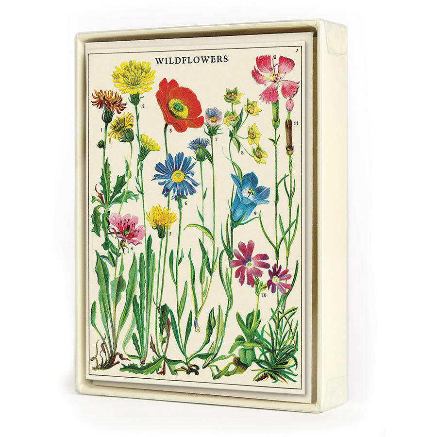 Cavallini Boxed Notecards | Artisans.