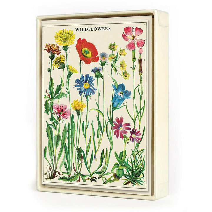 Cavallini Boxed Notecards | Artisans.