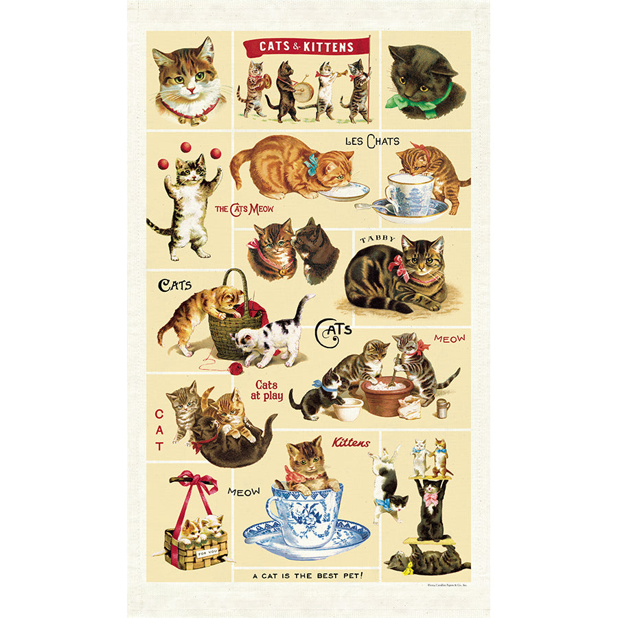 Cavallini Tea Towel