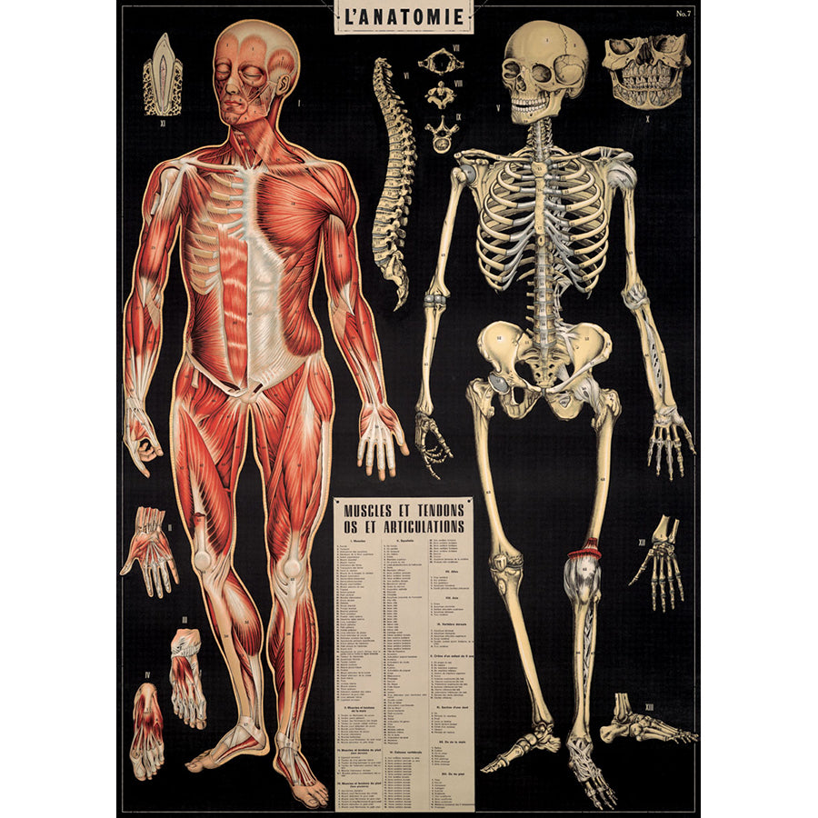 Cavallini Vintage Poster &amp; Frame Kit Collection