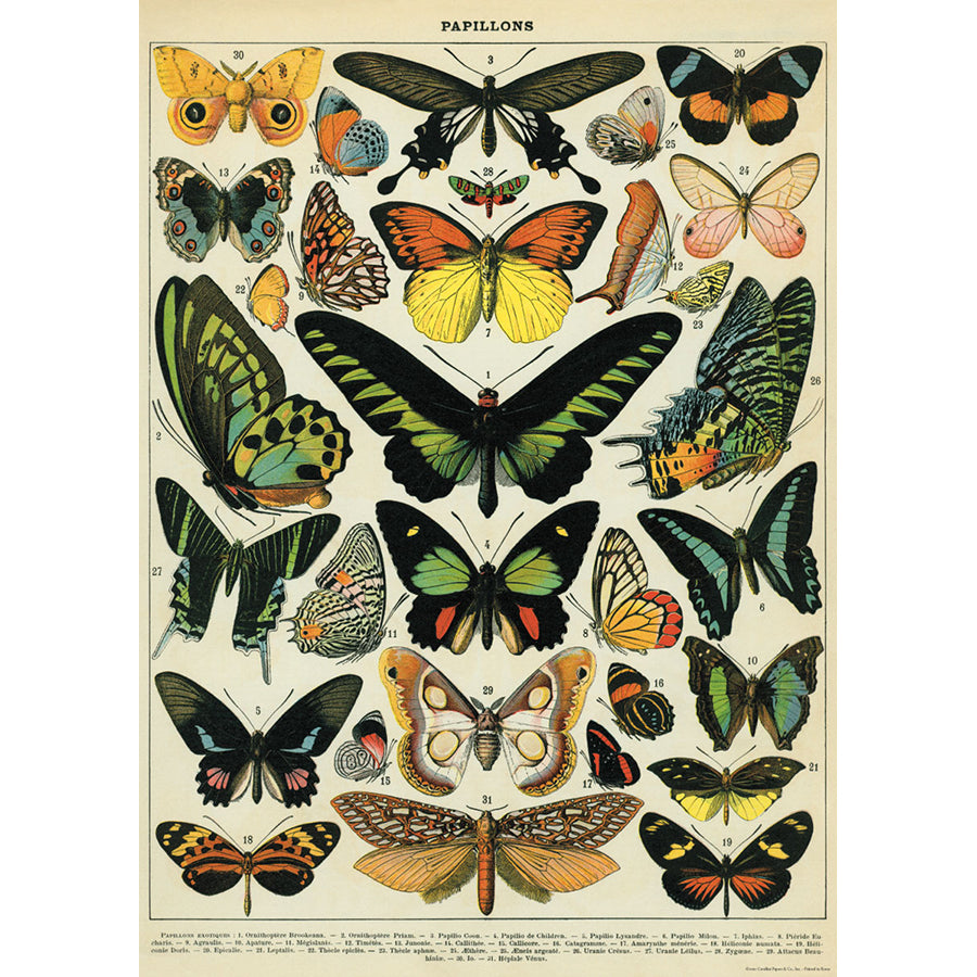 Cavallini Vintage Poster &amp; Frame Kit Collection