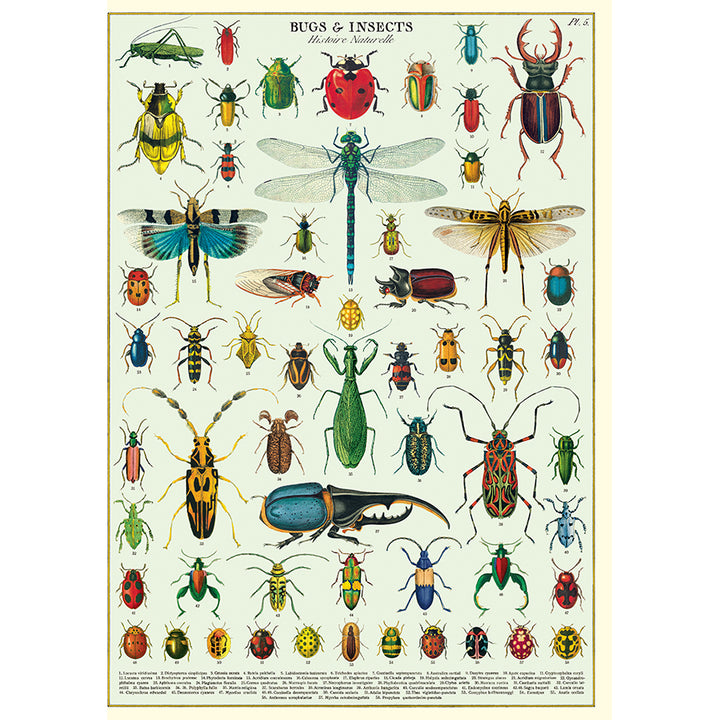 Cavallini Vintage Poster &amp; Frame Kit Collection