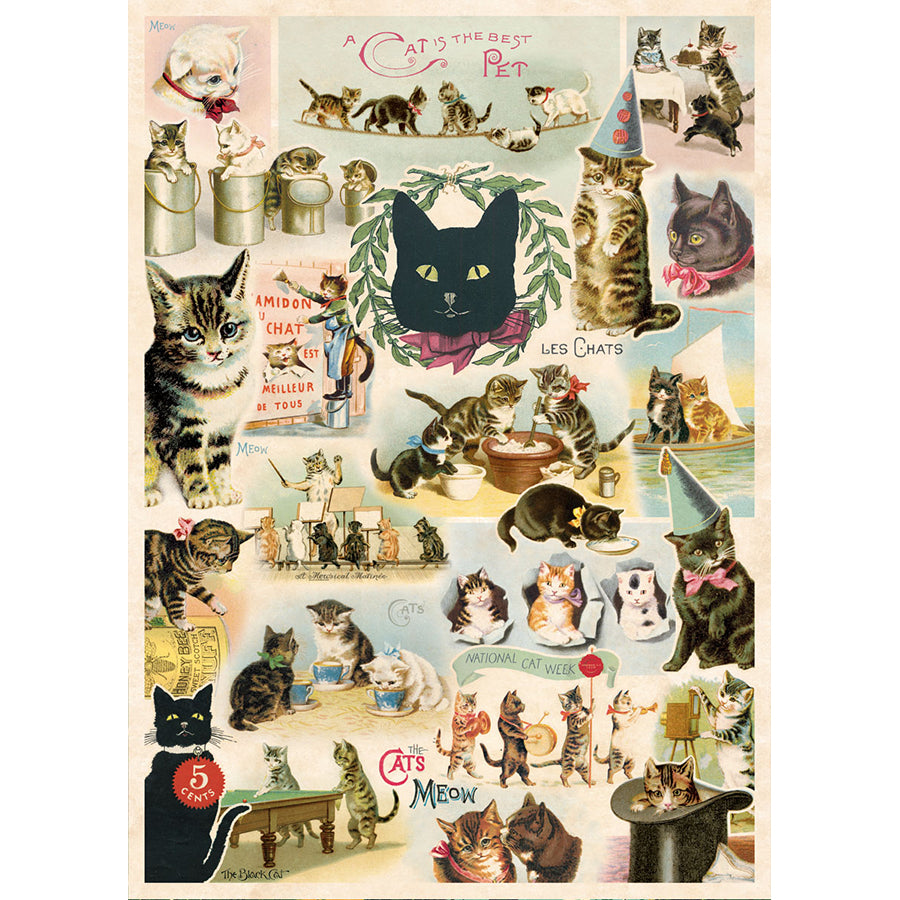 Cavallini Vintage Poster &amp; Frame Kit Collection