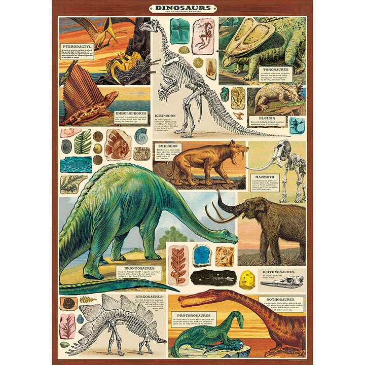 Cavallini Vintage Poster &amp; Frame Kit Collection