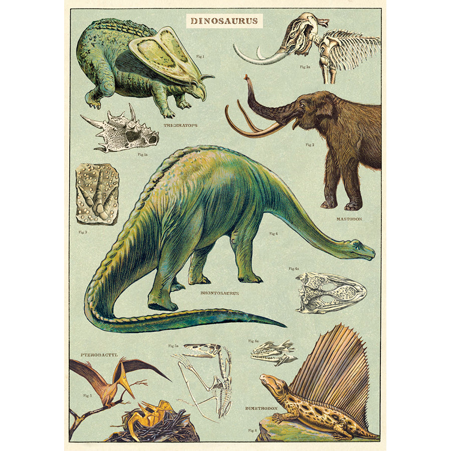 Cavallini Vintage Poster &amp; Frame Kit Collection